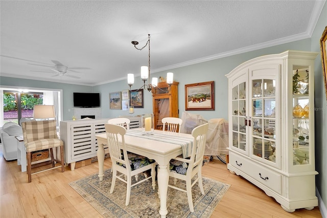 dining room featuring light wood-type flooring, ceiling fan with notable chandelier, crown molding, and a textured ceiling