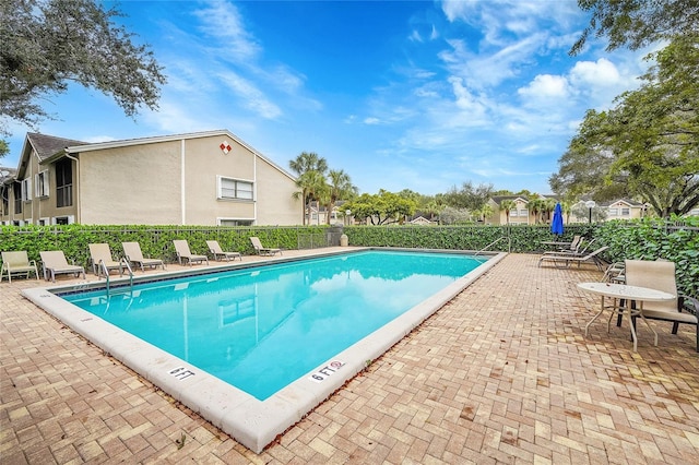 view of swimming pool with a patio