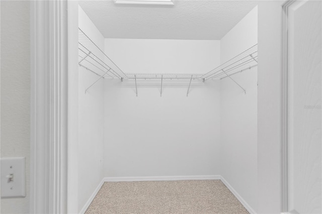 walk in closet featuring carpet