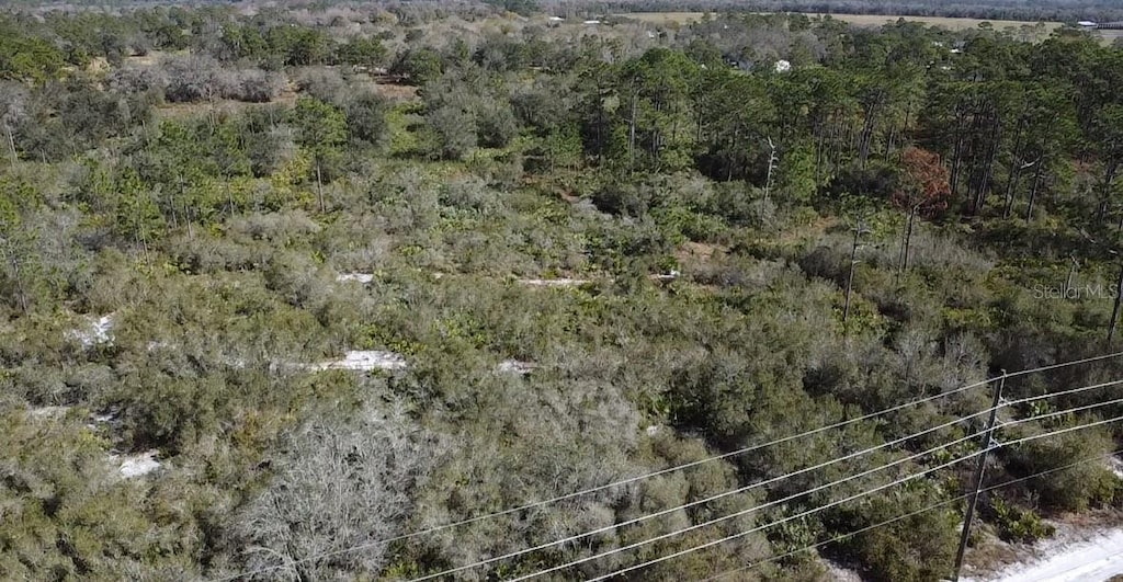 34600 US Highway 441 N, Okeechobee, FL 34972 - photo 2