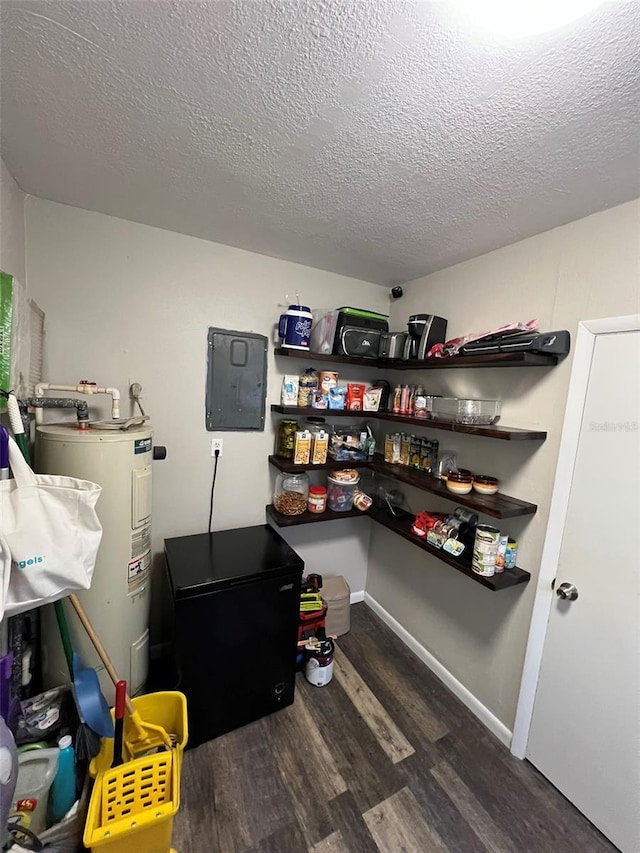 pantry with electric panel and electric water heater