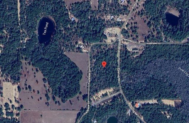 Pine Log Rd, Chipley FL, 32428 land for sale