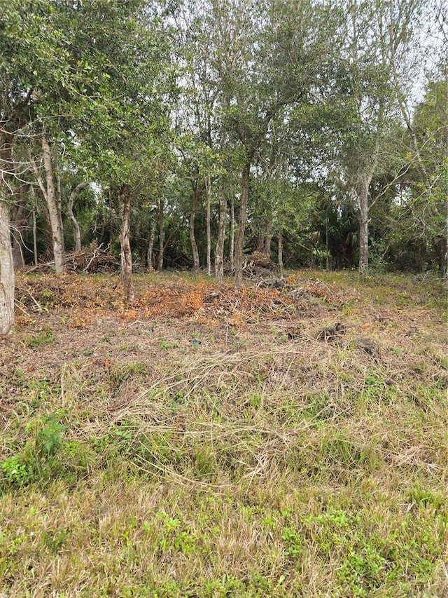 8889 SE 67th Way, Okeechobee FL, 34974 land for sale