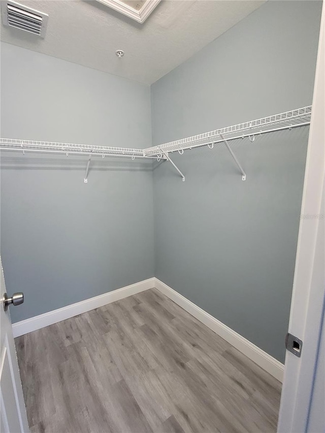 walk in closet featuring wood-type flooring