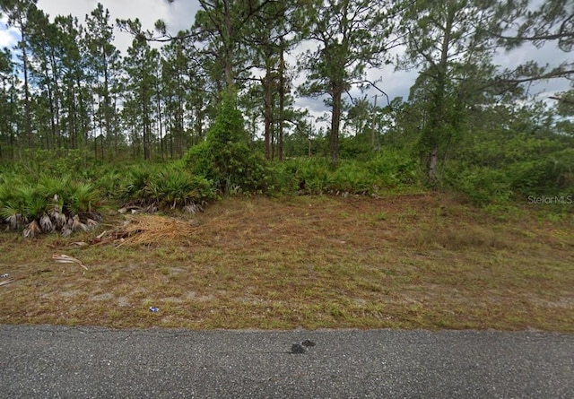 1306 W 11th St, Lehigh Acres FL, 33972 land for sale