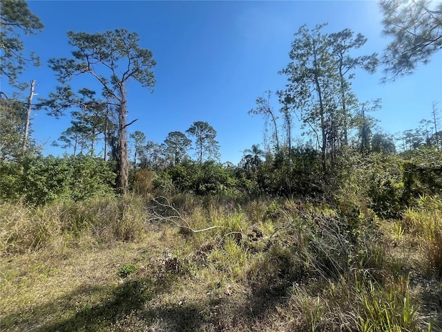 238 Swift Ave, Sebring FL, 33870 land for sale