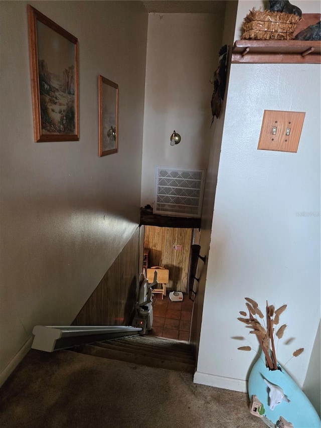 staircase featuring carpet floors