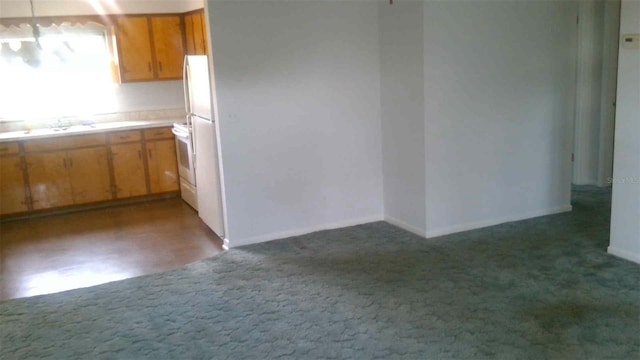 kitchen featuring carpet flooring