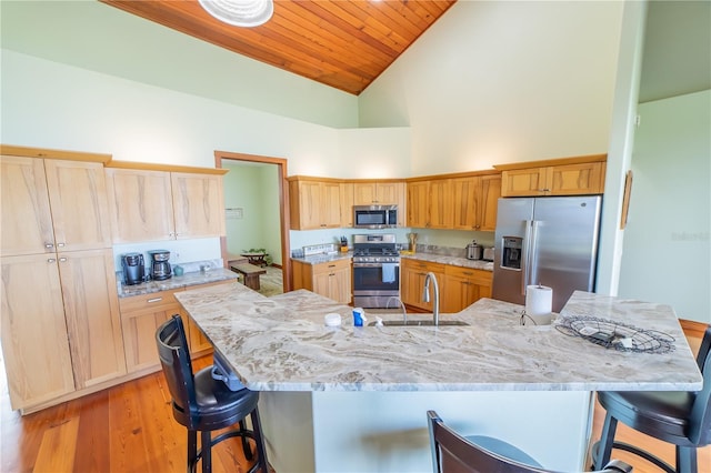 199 S Bear Pointe Dr, Lake Placid, FL 33852 - kitchen with high vaulted ceiling, stainless steel appliances, a large island with sink, and a kitchen bar