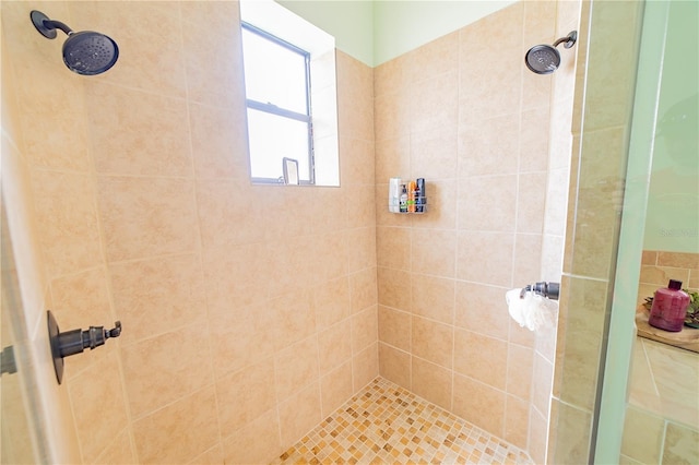 199 S Bear Pointe Dr, Lake Placid, FL 33852 - bathroom featuring tiled shower