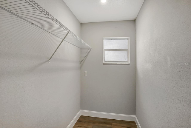 spacious closet featuring wood finished floors