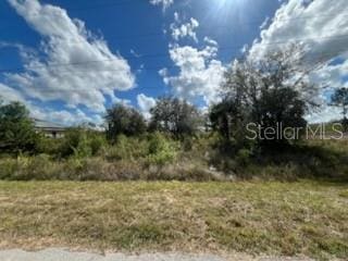 1928 Vesper Ct, Lehigh Acres FL, 33972 land for sale