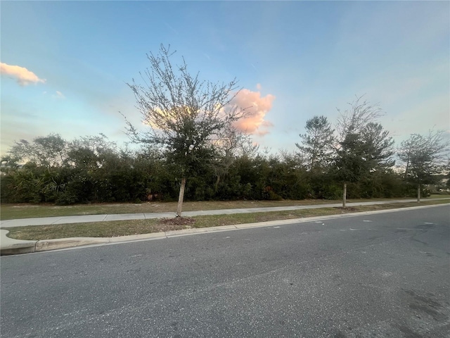 Listing photo 2 for Parc Hill Blvd, Orange City FL 32763