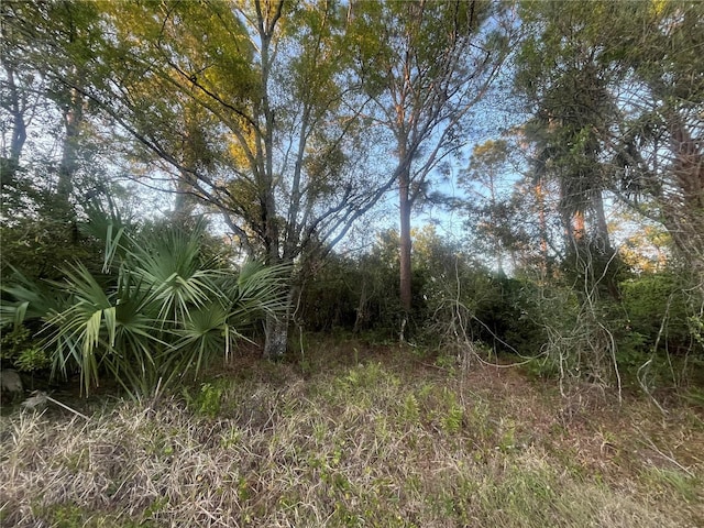 3966 NW 24th Ave, Okeechobee FL, 34972 land for sale