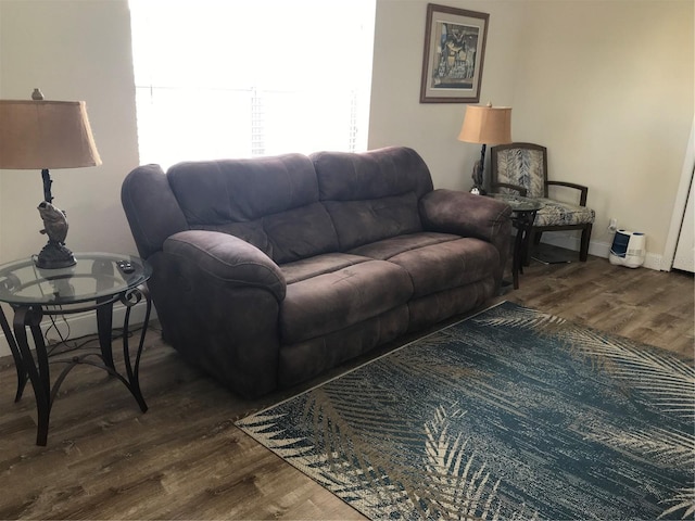 living room with wood-type flooring