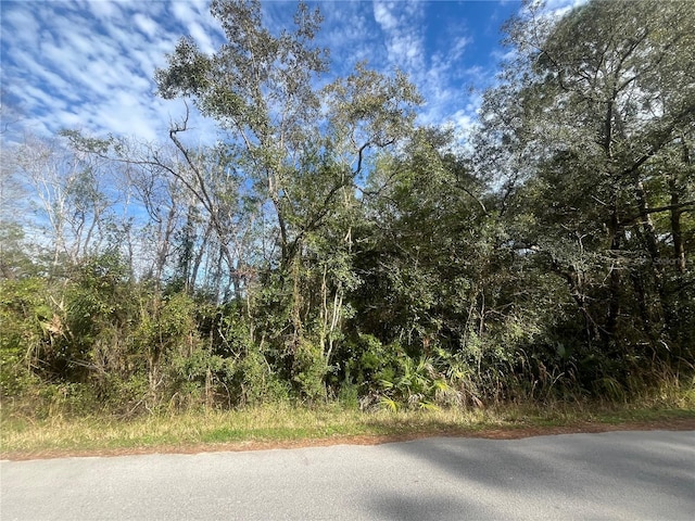 Listing photo 2 for 2389 S Bascombe Ave, Homosassa FL 34448