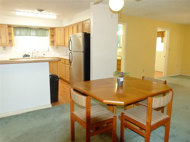 carpeted dining room with sink