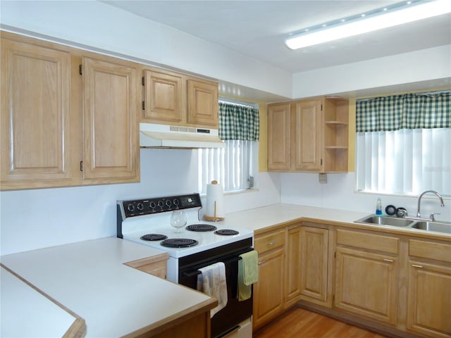 kitchen with electric stove, sink, light hardwood / wood-style flooring, and light brown cabinets