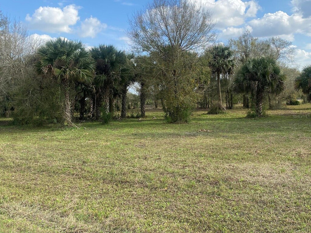 19376 NW 256th St, Okeechobee, FL 34972 - photo 1