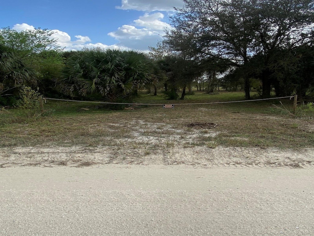 19376 NW 256th St, Okeechobee, FL 34972 - photo 2