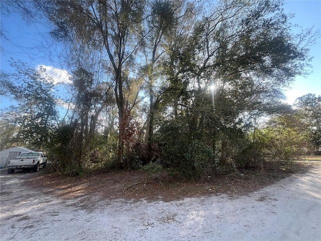 SE 143rd Ln, Summerfield FL, 34491 land for sale