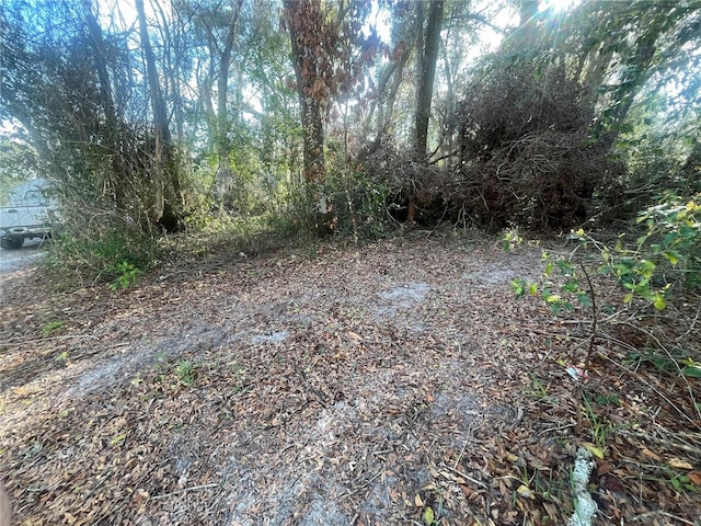 Listing photo 3 for SE 143rd Ln, Summerfield FL 34491