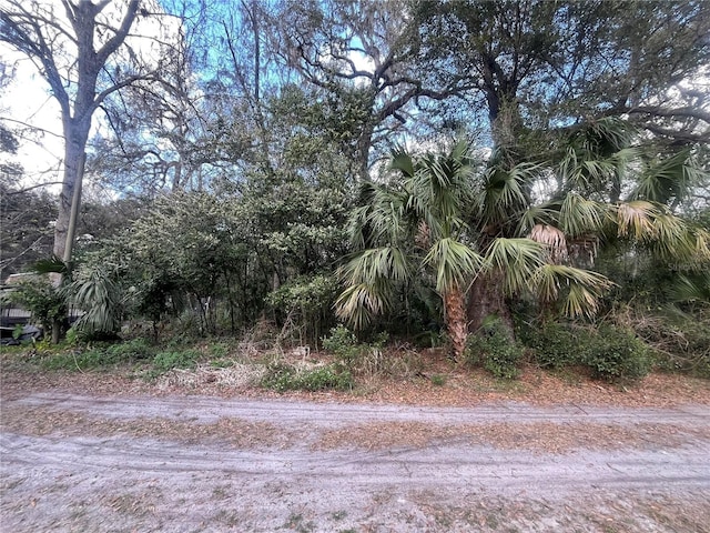 9355 E Tin Pan Aly, Inverness FL, 34453 land for sale