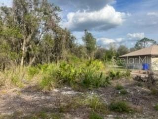 4908 Grampus Dr, Sebring FL, 33870 land for sale