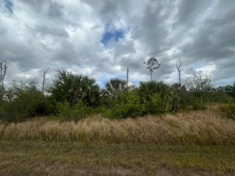 Cardon St, North Port FL, 34288 land for sale