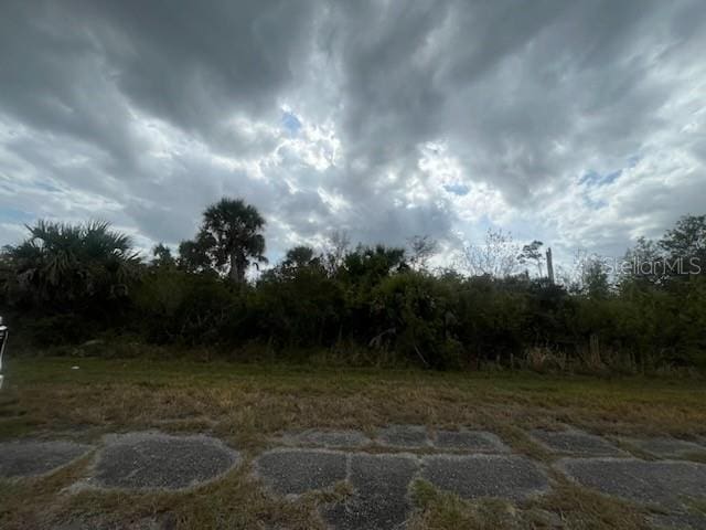 Listing photo 3 for Cardon St, North Port FL 34288