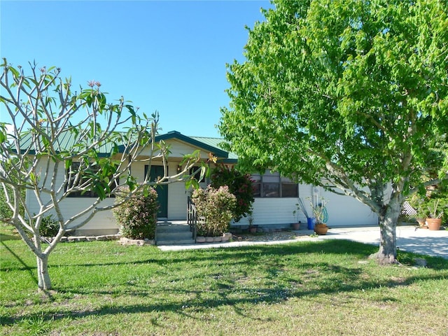 view of property hidden behind natural elements featuring concrete driveway and a front lawn