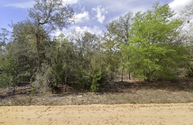 Shappell Ave, Interlachen FL, 32148 land for sale