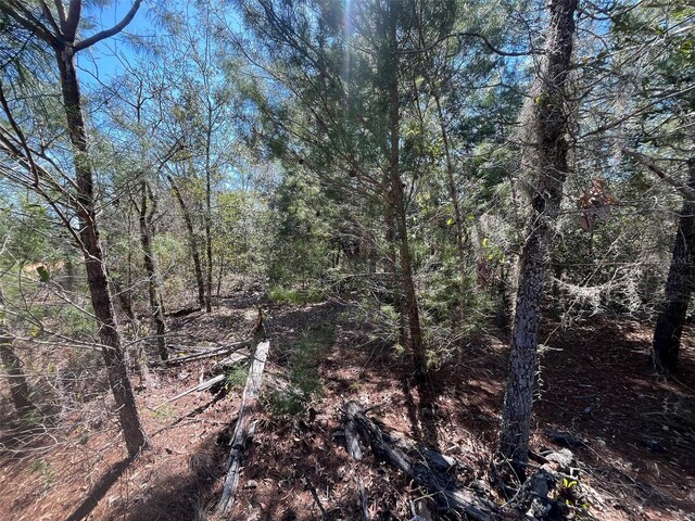Shappell Ave, Interlachen, FL 32148