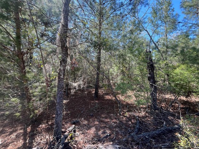 Shappell Ave, Interlachen, FL 32148