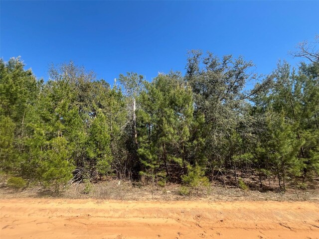 Shappell Ave, Interlachen, FL 32148