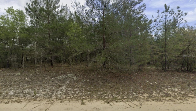 Kitty, Interlachen FL, 32148 land for sale