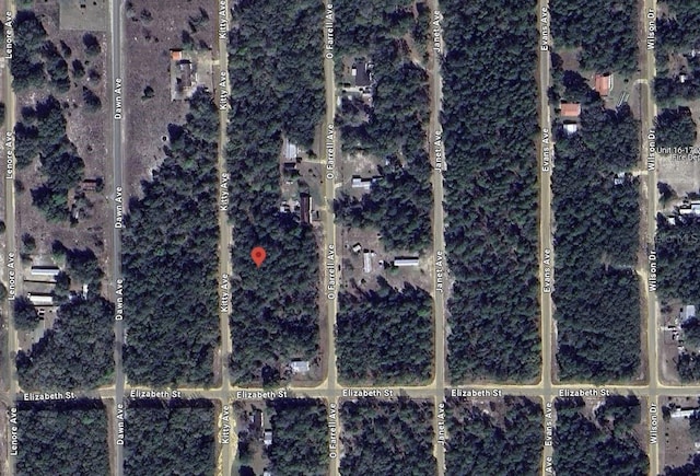 Listing photo 3 for Kitty, Interlachen FL 32148