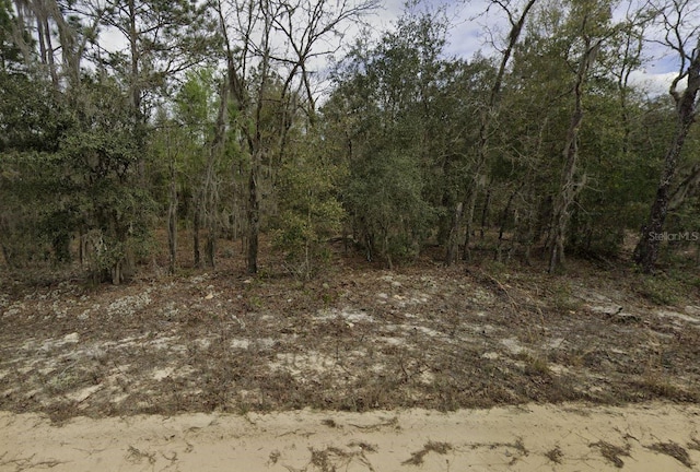 Kitty, Interlachen FL, 32148 land for sale