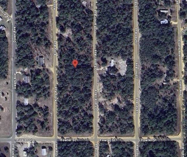 Listing photo 3 for Kitty, Interlachen FL 32148