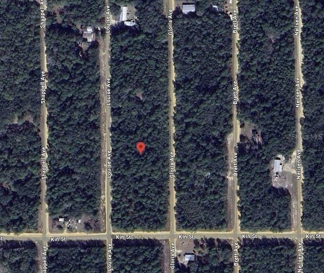 Listing photo 3 for Louise, Interlachen FL 32148