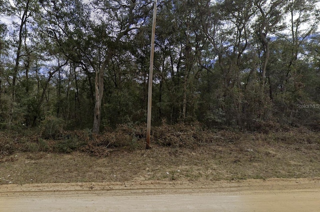 Walker, Interlachen FL, 32148 land for sale