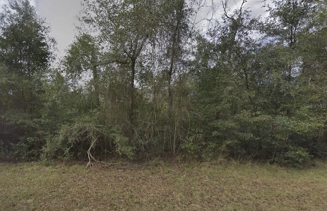 Walker, Interlachen FL, 32148 land for sale