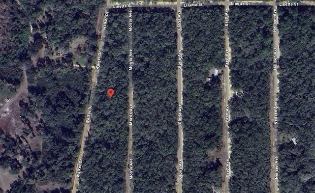 Listing photo 3 for Walker, Interlachen FL 32148