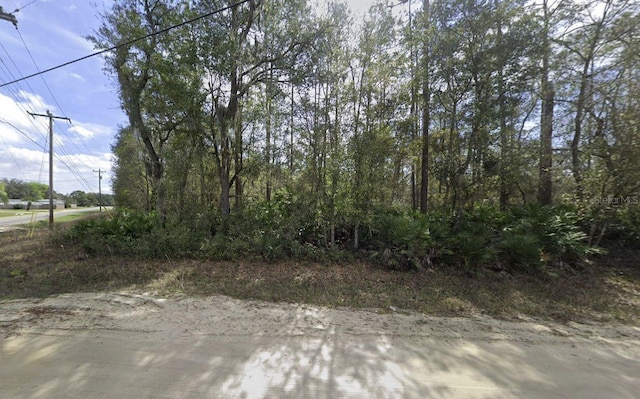 Scott, Interlachen FL, 32148 land for sale