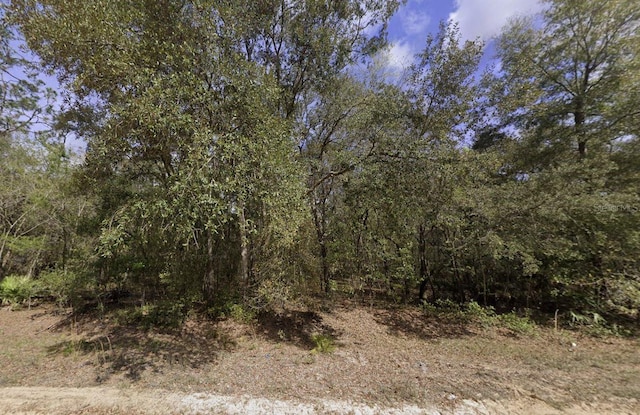 Beaven, Interlachen FL, 32148 land for sale