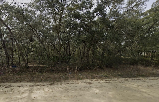 Banks, Interlachen FL, 32148 land for sale