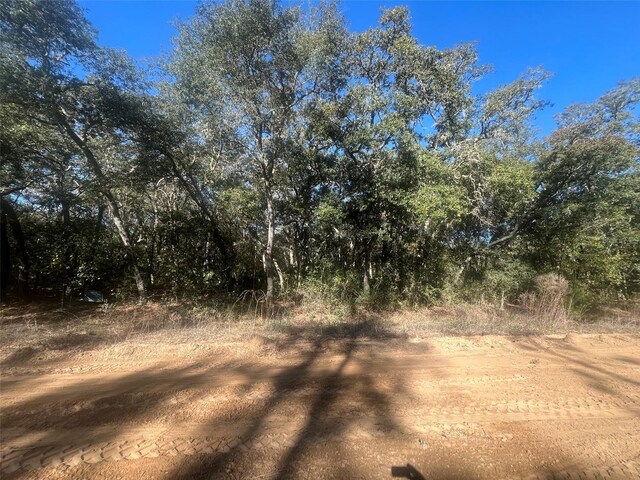 Banks, Interlachen, FL 32148