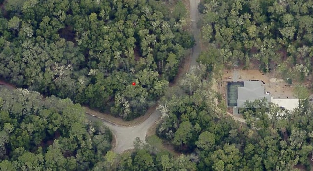 Guava Pass Ct, Ocklawaha FL, 32179 land for sale