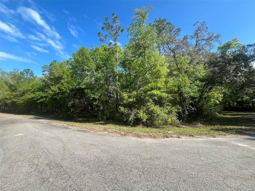 Guava Pass Ct, Ocklawaha, FL 32179