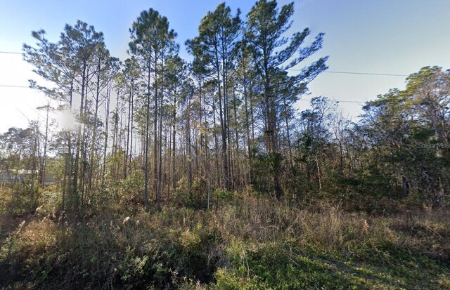 10445 Amos Ave, Hastings, FL 32145
